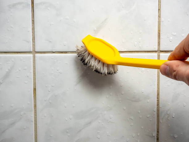 St Clair, PA Mold Removal Company