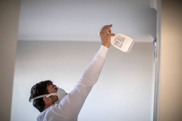 Best Mold Removal Near Me  in St Clair, PA