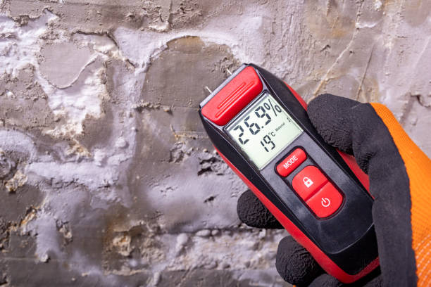 Mold Removal and Inspection in St Clair, PA