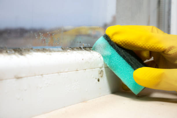 Best Water Damage Restoration  in St Clair, PA